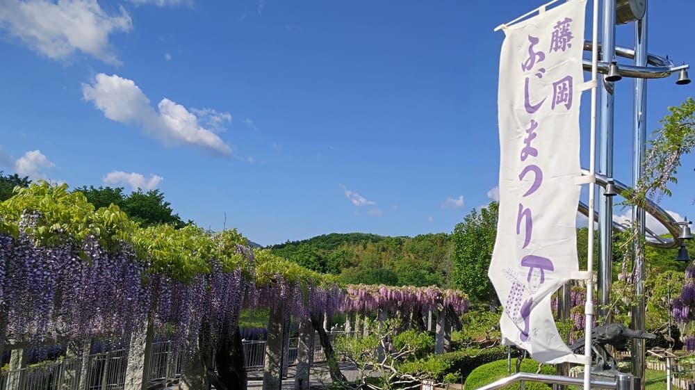 藤岡ふじまつり