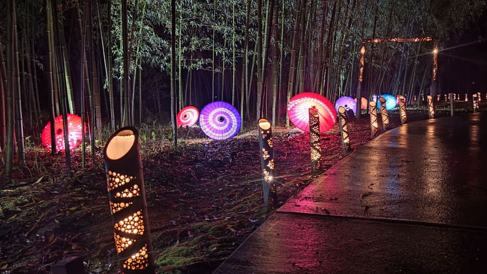 高山社跡竹林ライトアップ