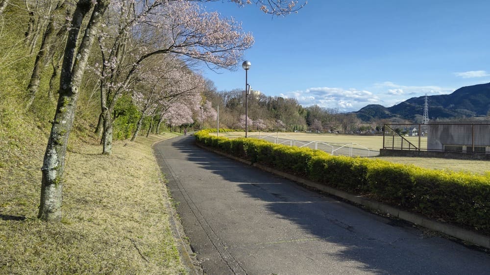 藤岡総合運動公園
