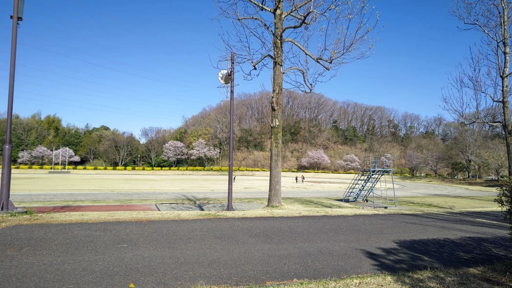 藤岡総合運動公園