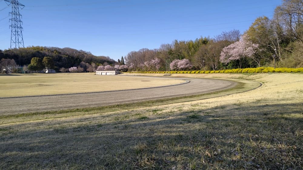 藤岡総合運動公園