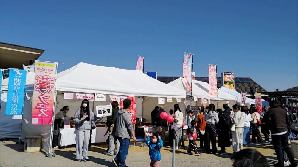 藤岡やよいひめ「いちごフェス」