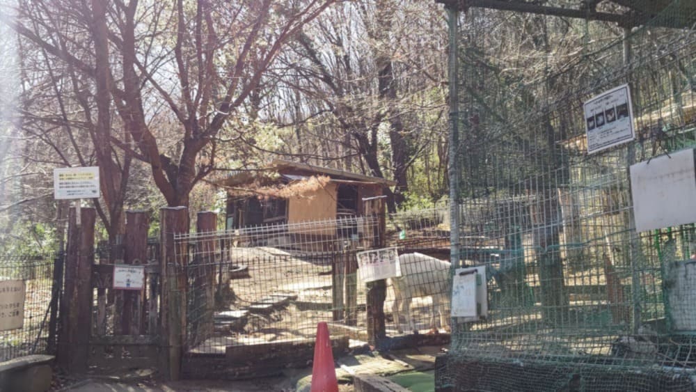 ミニ動物園