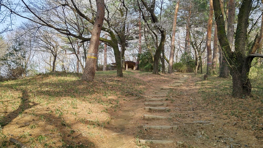 さくら山展望台