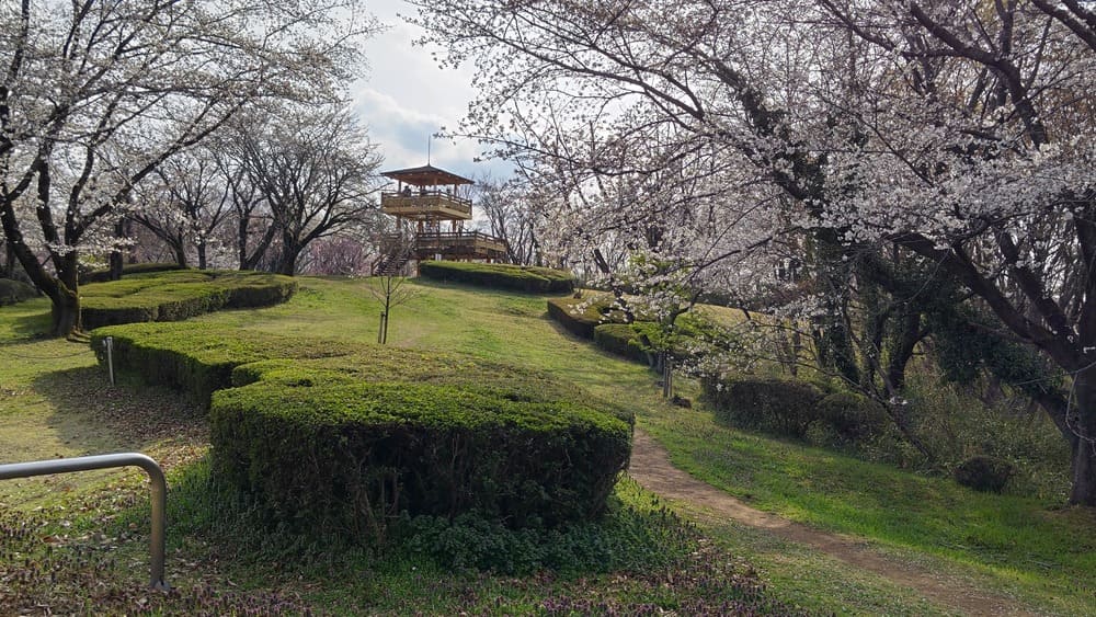 さくら山展望台