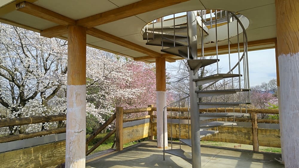 さくら山展望台